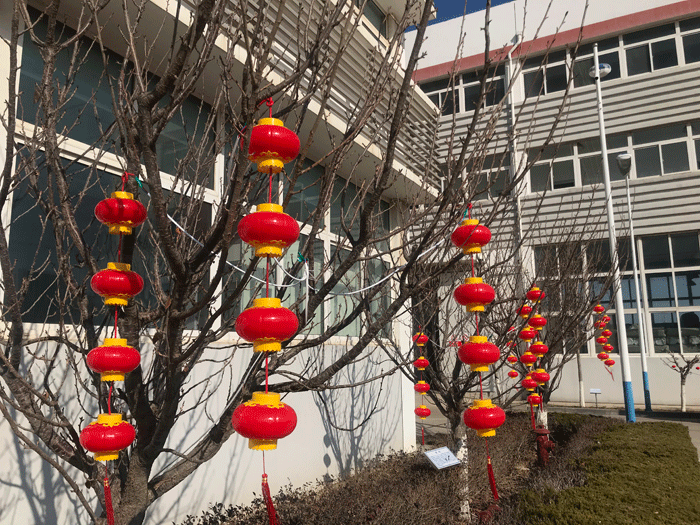 烟台B体育平台化工恭祝大家2021牛年行大运